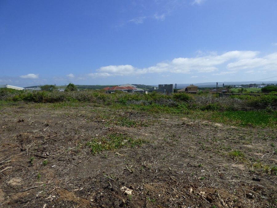 0 Bedroom Property for Sale in Forest Downs Eastern Cape